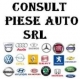 Consult Piese Auto Market srl